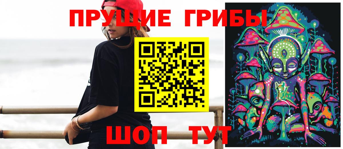 Галлюциногенные грибы Psilocybe  Вход с VPN  Гагарин 